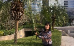 厚颜无耻无删减版动漫